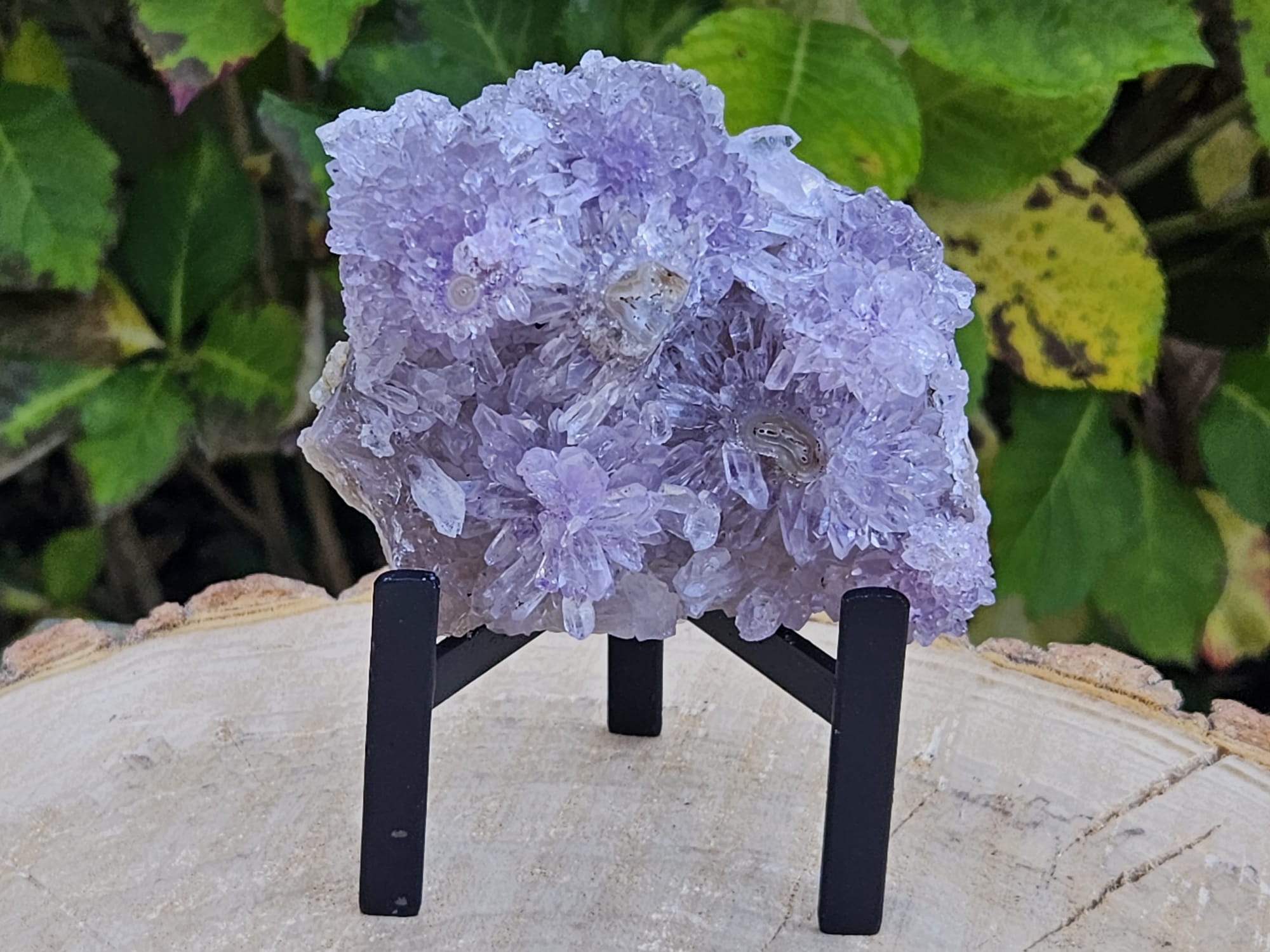 Bloem Amethist op standaard