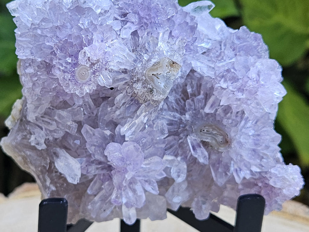 Bloem Amethist op standaard